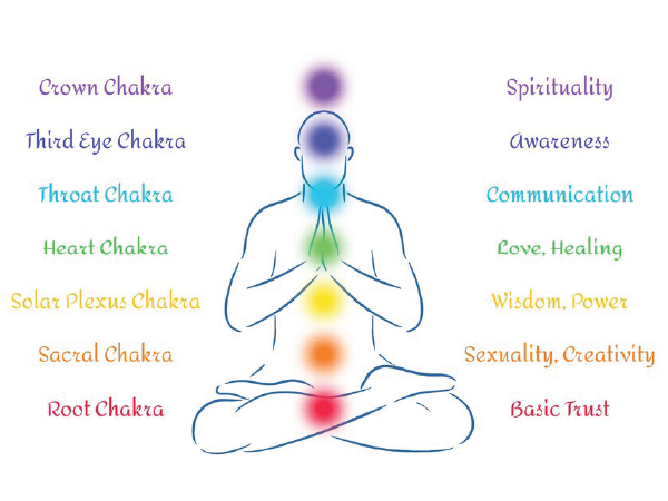 Chakra System Anatomy